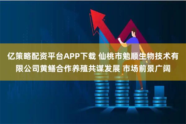 亿策略配资平台APP下载 仙桃市勉顺生物技术有限公司黄鳝合作养殖共谋发展 市场前景广阔